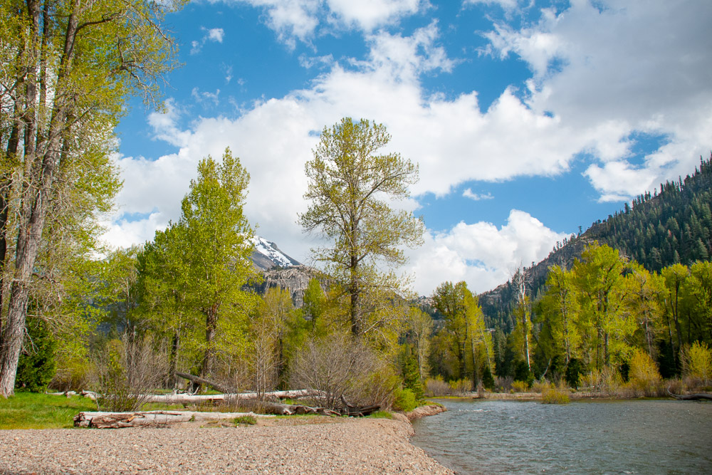 Kennedy Meadows